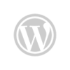 marketing-wise-noida-wordpress
